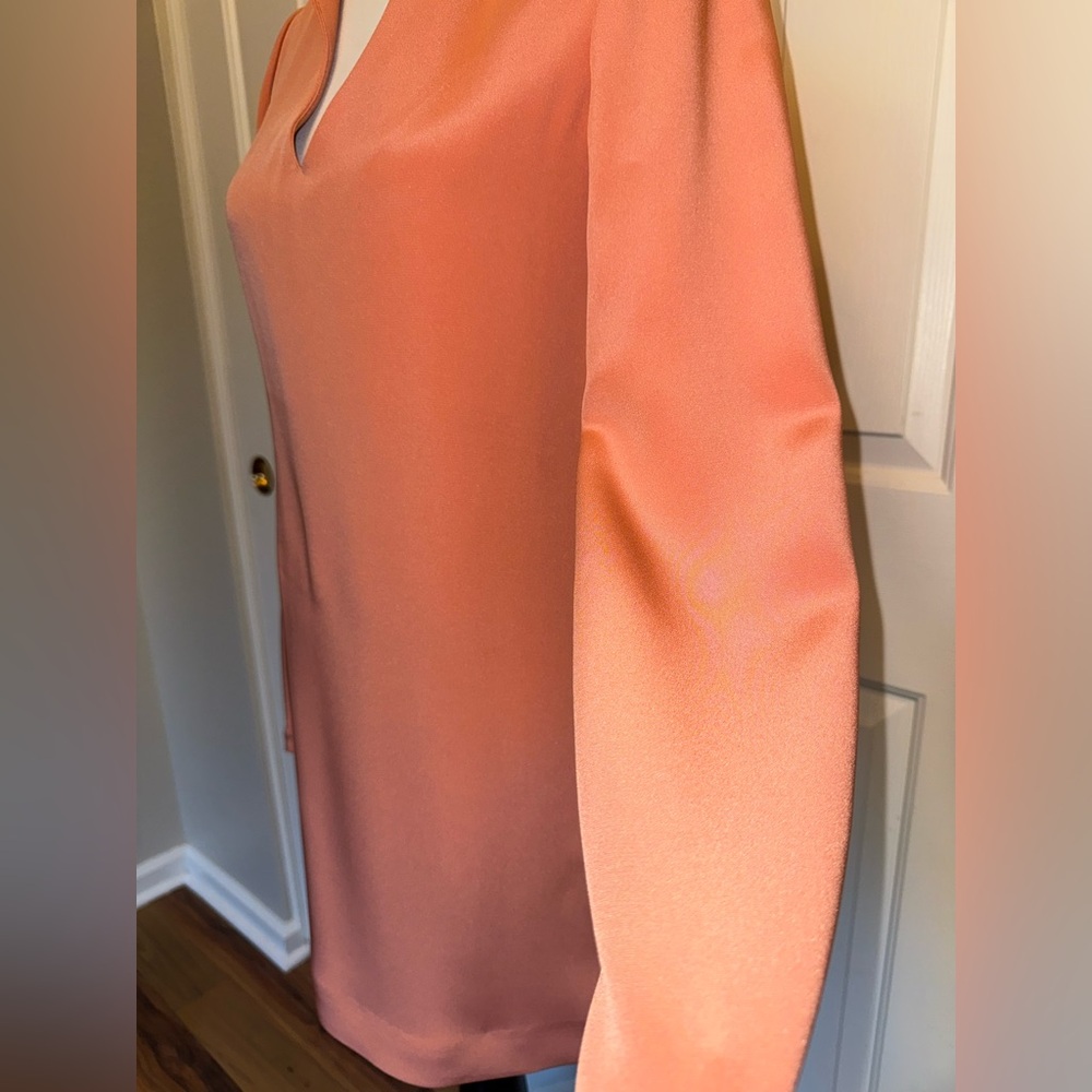Elizabeth and James Silk Shift Dress Size 2 Coral Minimalist Chic Quiet Luxury - Picture 5 of 11